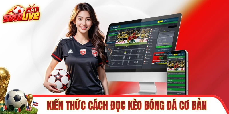 Cách đọc kèo bóng đá với các kiến thức cơ bản