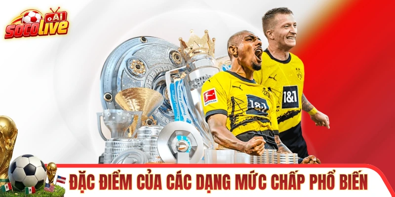 Đặc điểm của các dạng mức chấp phổ biến